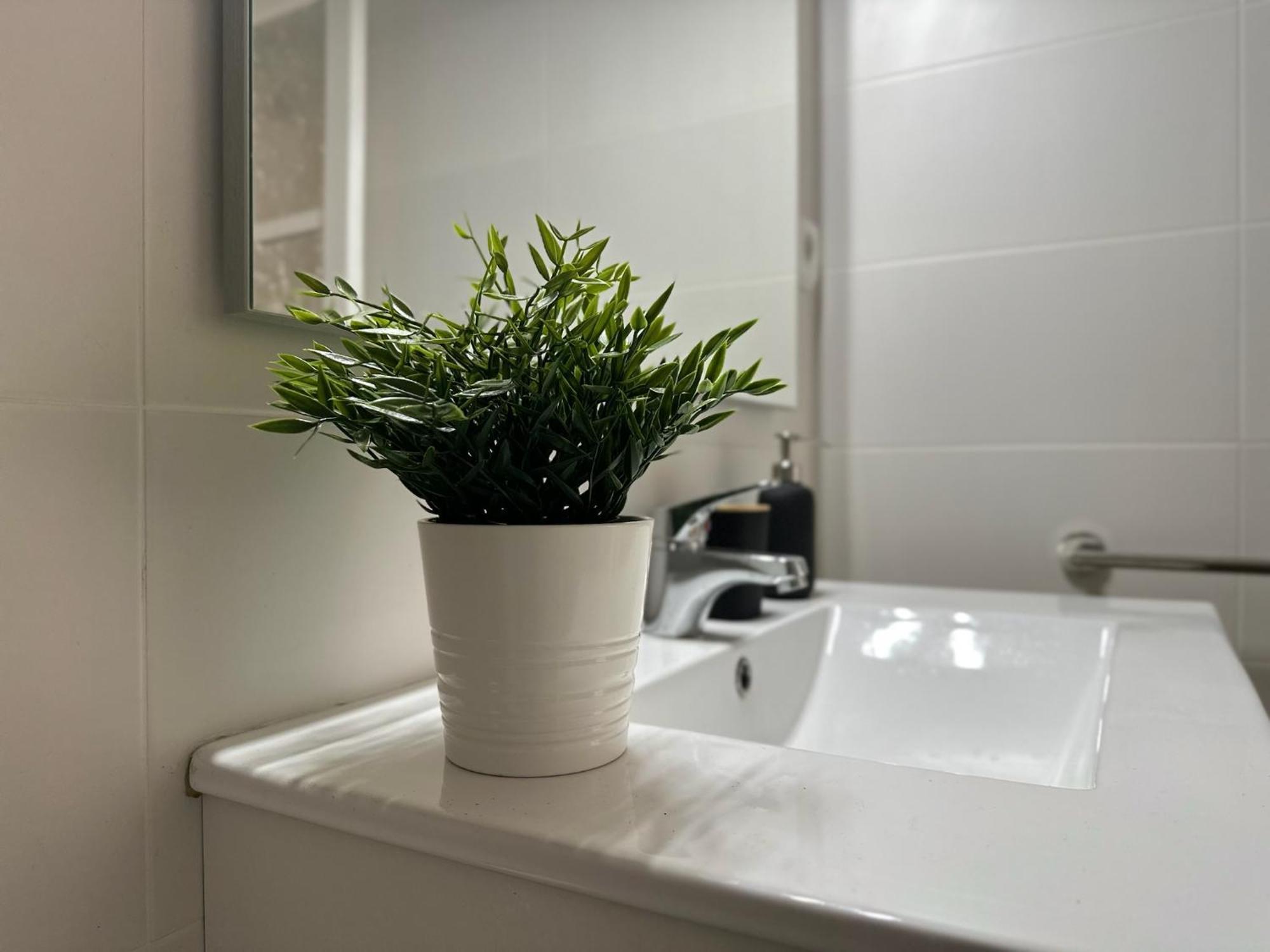 Apartamentos Vernia Ontinyent  Exterior foto